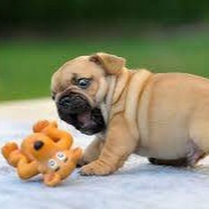 Meet your Posher, Ashveen